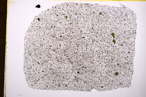 Plane Polarized, E18288