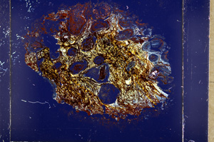 Cross Polarized, E18297/A