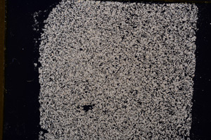 Cross Polarized, E18314