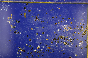 Cross Polarized, E18326