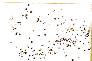 Plane Polarized, E18326