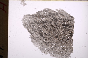 Plane Polarized, E18334