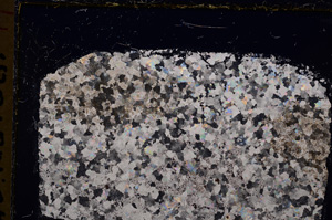 Cross Polarized, E18342