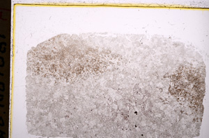 Plane Polarized, E18342