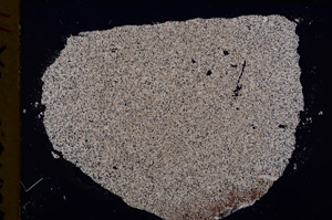 Cross Polarized, E18343