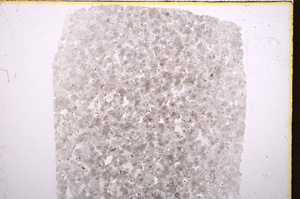 Plane Polarized, E18344