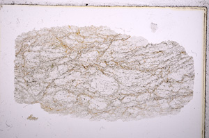 Plane Polarized, E18353