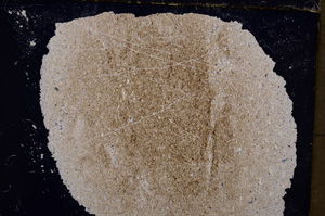 Cross Polarized, E18359