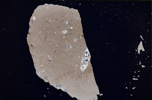 Cross Polarized, E18372