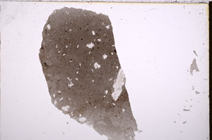 Plane Polarized, E18372