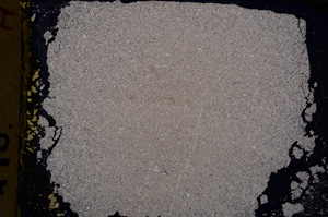 Cross Polarized, E18373