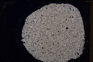 Cross Polarized, E18377