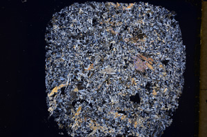 Cross Polarized, E18380