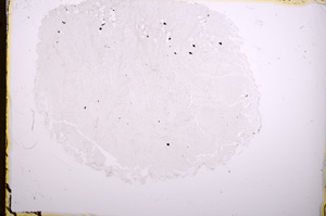 Plane Polarized, E18381