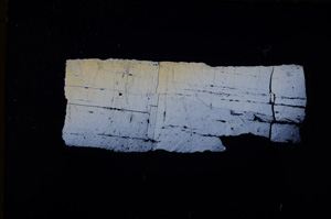 Cross Polarized, E18382