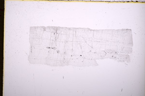 Plane Polarized, E18382