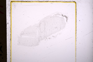 Plane Polarized, E18382/A