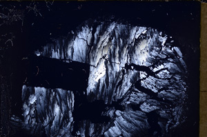 Cross Polarized, E18385