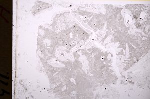 Plane Polarized, E18391