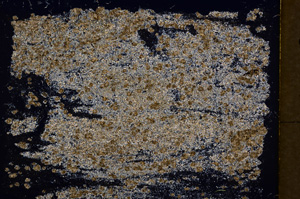 Cross Polarized, E18401
