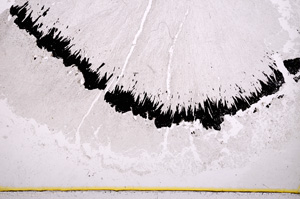 Plane Polarized, E18428