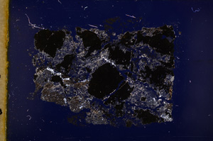 Cross Polarized, E18429/A