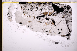 Plane Polarized, E18430/A