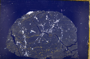 Cross Polarized, E18431/A