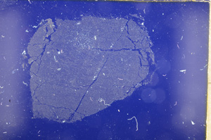 Cross Polarized, E18432