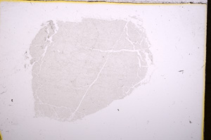 Plane Polarized, E18432