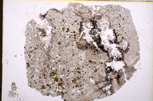 Plane Polarized, E18433/A