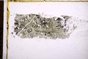Plane Polarized, E18438