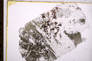 Plane Polarized, E18440