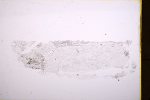 Plane Polarized, E18444