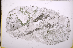 Plane Polarized, E18445
