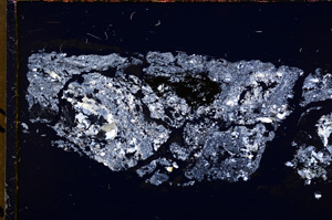 Cross Polarized, E18446