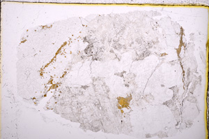 Plane Polarized, E18448