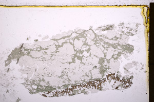 Plane Polarized, E18449