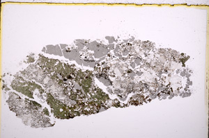 Plane Polarized, E18451