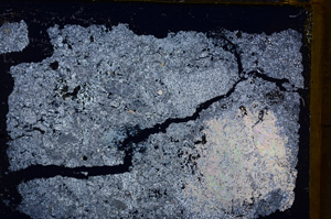 Cross Polarized, E18455