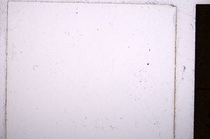 Plane Polarized, E18456/B
