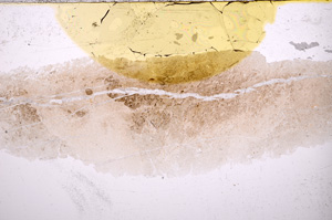 Plane Polarized, E18463