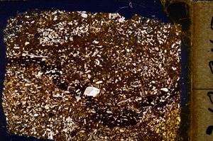 Cross Polarized, E18468