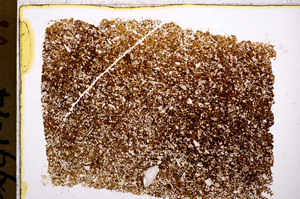 Plane Polarized, E18471