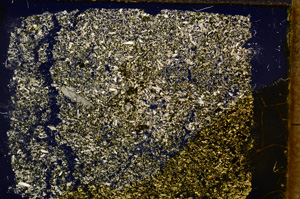 Cross Polarized, E18472