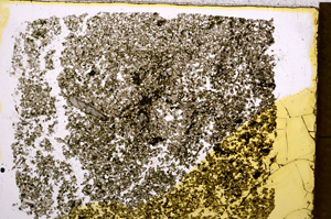 Plane Polarized, E18472