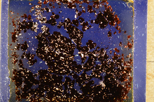 Cross Polarized, E18473/A