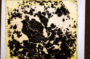 Plane Polarized, E18473/A
