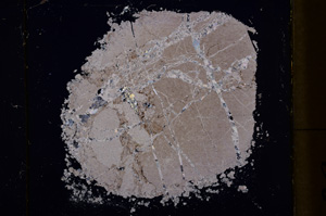 Cross Polarized, E18480/A