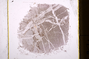 Plane Polarized, E18480/A